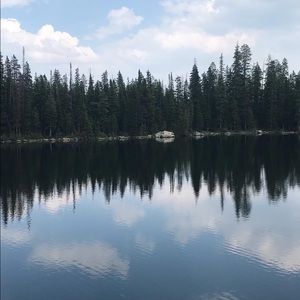 Meet your Posher, Ariella